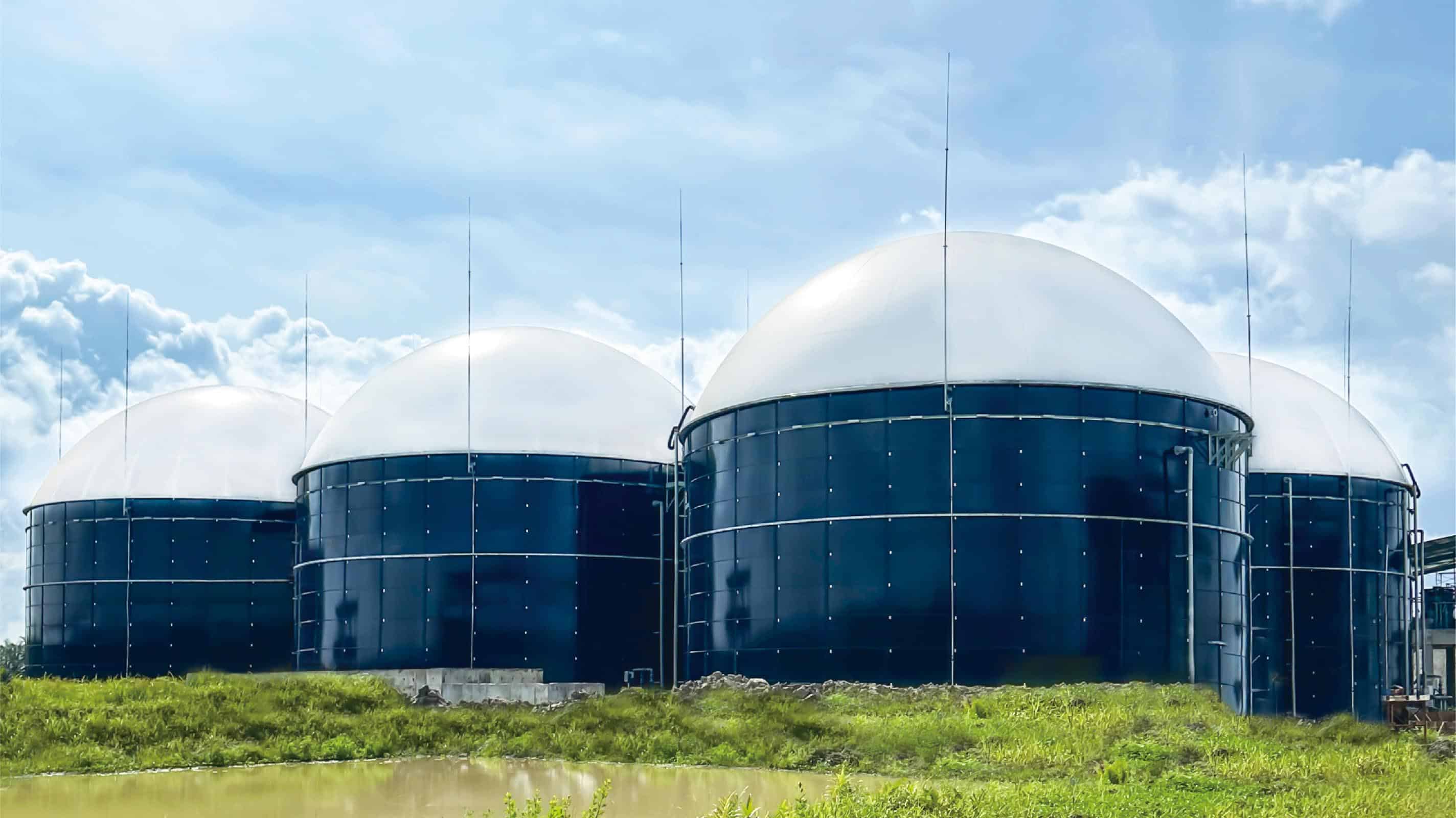 Malaysia Biogas Project - 5 GFS anaerobic tanks with biogas flaring system