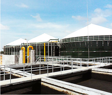 palm oil wastewater